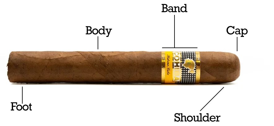 parts of a cigar